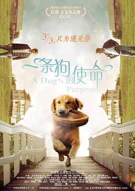中文字幕伊人久久网